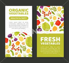 Fresh Vegetables Banner Design With