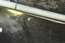 Basement Water Seepage Causes