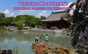 Botanical Gardens And Insectarium