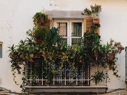 Vertical Garden In Your Balcony