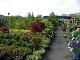 Nyc Plant Nursery Garden World