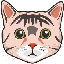 Cat Face Png Transpa Images Free