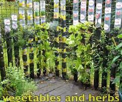 Awesome Vertical Vegetable Garden