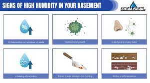How To Lower Your Basement S Humidity Level