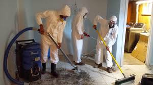 Flooded Basement Cleanup
