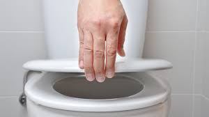 Put A Stop To Noisy Toilet Seat Clanks