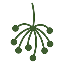 Simple Plant Tip Icon Png Svg Design