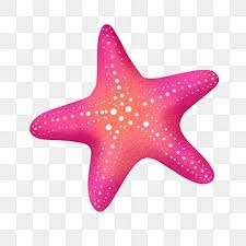 Starfish Png Vector Psd And Clipart
