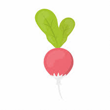 Agriculture Food Garden Plant