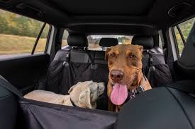 Large Dog Car Seats For Pet Safety