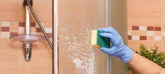 How To Properly Clean A Shower Screen