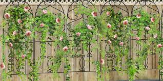 Metal Garden Trellis Keep Vine Plants