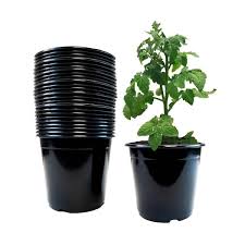 1 Gal Black Plastic Nursery Pots