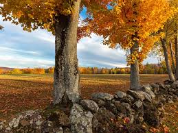 Stone Walls