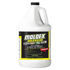 Moldex 1 Gal Mold 5520 The