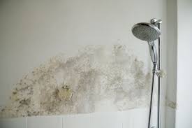 How To Get Rid Of Mold In Bathroom
