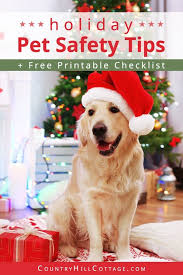 Holiday Pet Safety Tips And Free
