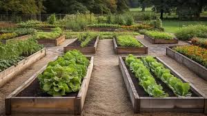 Raised Vegetable Garden Beds Are More