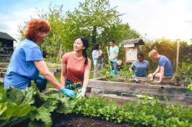 Community Gardens Are Good For More