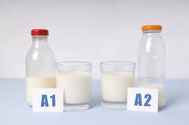 What Is A2 Milk Formula Is It Better