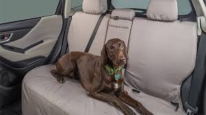 Subaru Genuine Pet Friendly Accessories