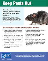 Rodent Control Natural Disasters And