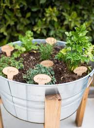 An Easy Simple Diy Backyard Herb