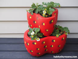 Strawberry Planter For The Garden