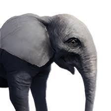 Elephant Calf Conan Exiles Database