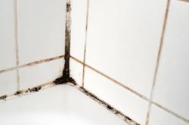 How To Get Mould Off Silicone