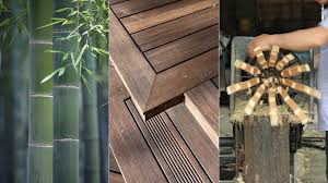 bamboo wood why you should use bamboo