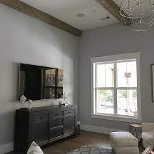 Behr Dolphin Fin Living Room Colors