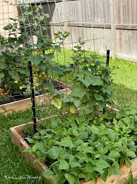 Square Foot Garden Planner