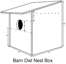 Barn Owl Nest Boxes The Raptor Trust