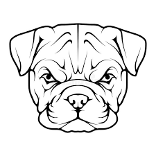 French Bulldog Drawing