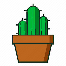 Kaktus Cactusicon Cactus Plantsicon