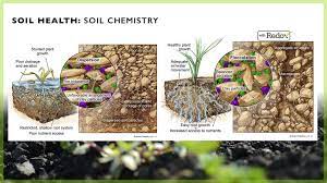 In Soil Structure And Plant Nutrition