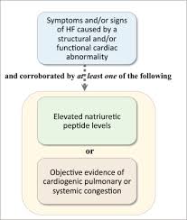 classification of heart failure