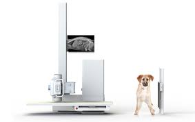 horizontal beam radiography a useful