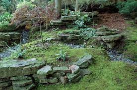 How To Use Moss In The Landscape