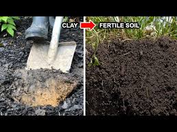 How To Improve Clay Soil Loosen