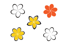 Beauty Plumeria Icon Flowers Graphic By