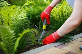 How To Get Rid Of Weeds Permanently 13