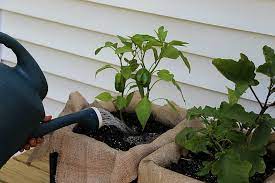 Milk Crate Garden Grow A Lot Of