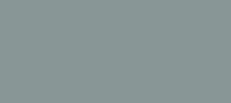 Hex Color 899593 Color Name