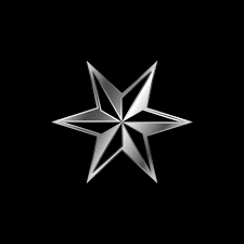 Silver Star Decorative Icon Vector Template