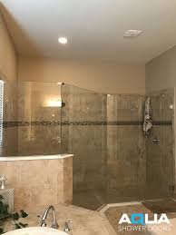 Frameless Clear Glass Shower Enclosure