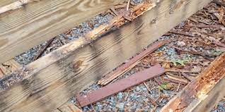 learn how to prevent deck rot and