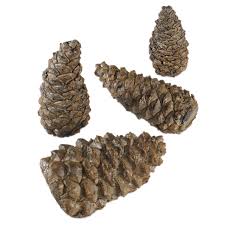 Wilderness Pine Cones 4 Assorted Sizes