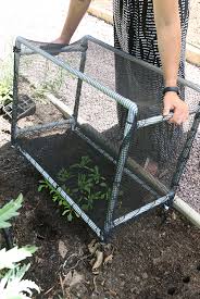 Keep Seedlings Safe Diy Shade Frame